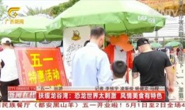 广西最新爆料视频新闻,揭秘神秘事件背后的真相